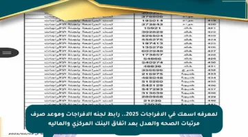 لمعرفة اسمك في الإفراجات 2025.. رابط لجنة الإفراجات وموعد صرف مرتبات الصحة والعدل بعد اتفاق البنك المركزي والمالية